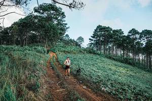 BIB: 
                            <button type="button" onclick="openModal(25653851)" class="btn btn-primary btn-sm float-right btn-popup" data-toggle="modal" data-target=".modal-high-quality">
                        <i class="fas fa-shopping-cart"></i> Add to Cart
                    </button>
                                            <button type="button" onclick="isThisMe(25653851, true)" class="btn btn-success btn-sm float-right btn-popup btn-isme hidden" data-toggle="tooltip" data-placement="bottom" title="นี่คือรูปของคุณใช่ไหม คลิกที่นี่เพื่อเอาเข้าอัลบั้ม">
                        <i class="fas fa-plus"></i> Add to album
                    </button>
                    <button type="button" onclick="isThisMe(25653851, false)" class="btn btn-warning btn-sm float-right btn-popup btn-isnotme hidden">
                        <i class="fas fa-ban"></i> Remove from album
                    </button>